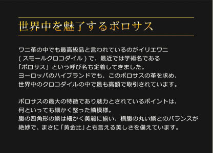 ヒマラヤクロコダイル 2way トートバッグ 日本製 ショルダーベルト付き B5サイズ対応 スモールクロコダイル  ポロサス (06001527r)