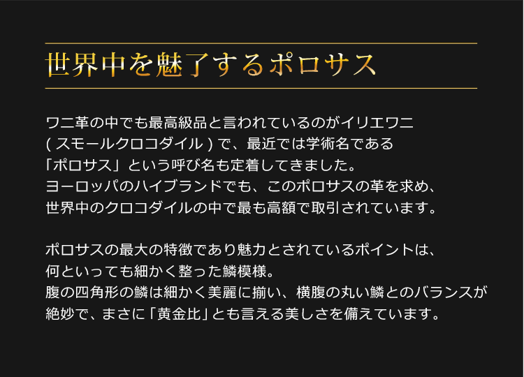 ヒマラヤクロコダイル  2wayトートバッグ 日本製 センター取り ポロサス スモールクロコダイル (06001529r)