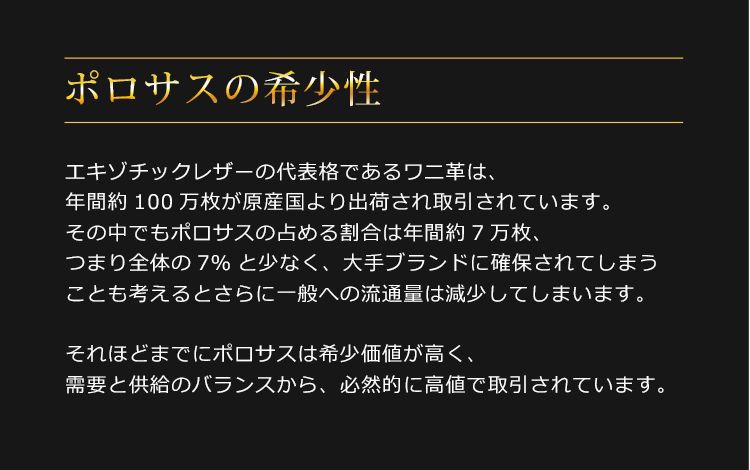 ヒマラヤクロコダイル 2way トートバッグ 日本製 ショルダーベルト付き B5サイズ対応 スモールクロコダイル  ポロサス (06001527r)