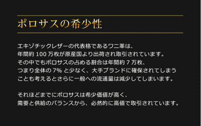 ヒマラヤクロコダイル 2way トートバッグ 日本製 ショルダーベルト付き B5サイズ対応 スモールクロコダイル  ポロサス (06001527r)